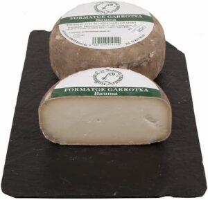 queso Garrotxa